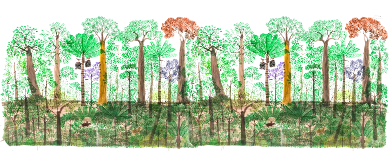 Don Abel Rodríguez: el hombre que convirtió la sabiduría amazónica en arte eterno.