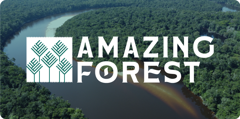 BONOS DE CARBONO ARR - AMAZING FOREST