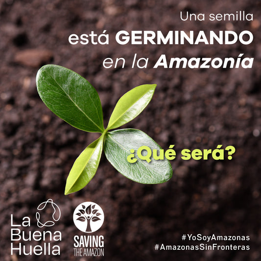 La buena huella y Saving The Amazon