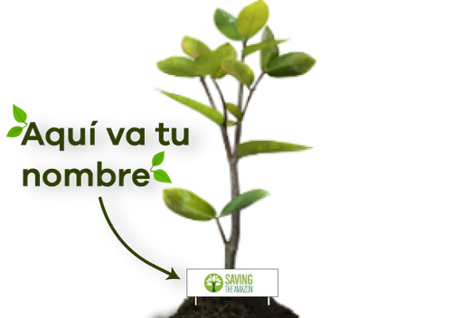 DONA UN ÁRBOL