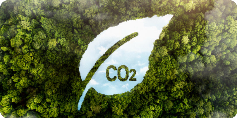 Compensación de CO₂