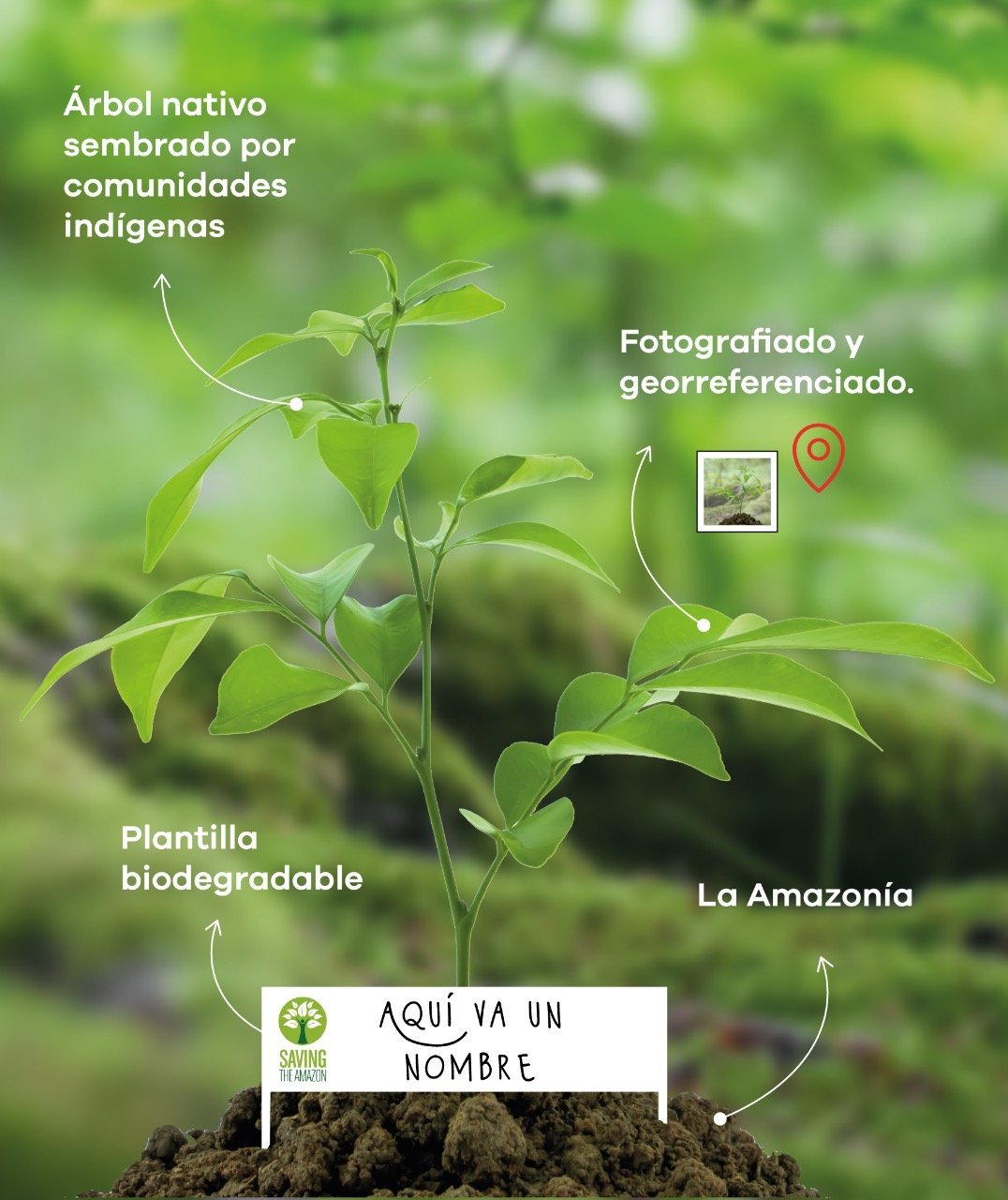 Un árbol para regalar - Saving The Amazon