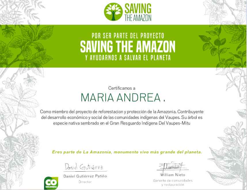 Amazon Seed - Saving The Amazon