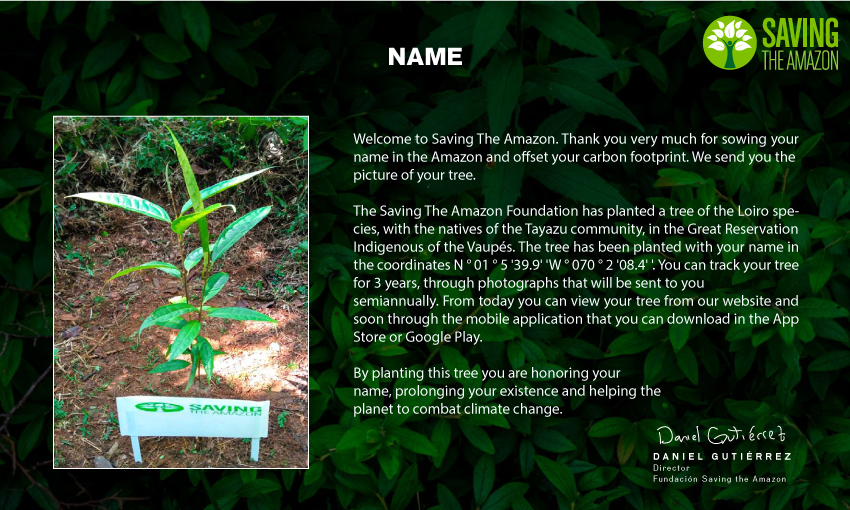 Amazon Seed - Saving The Amazon