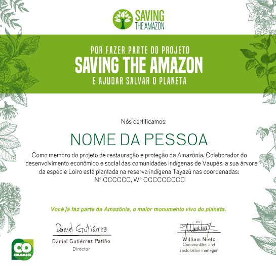 Amazon Forest Sponsor