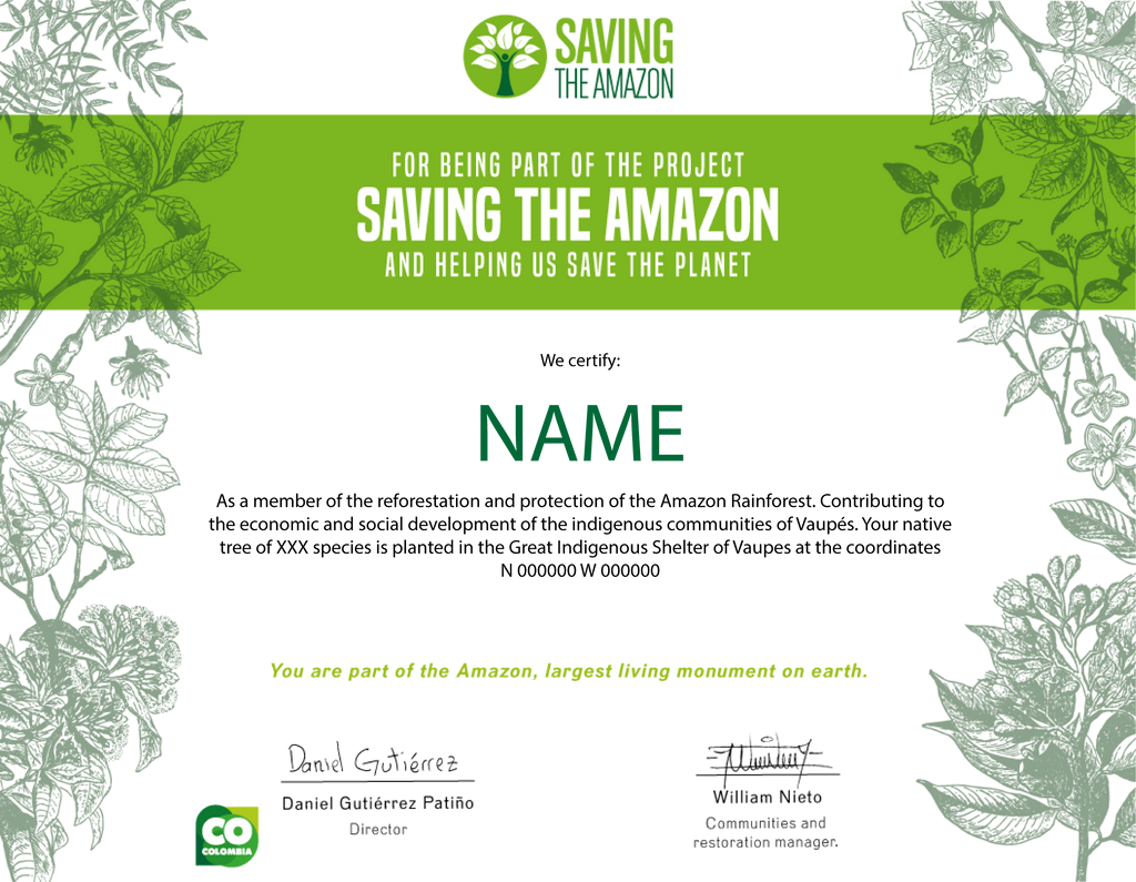 Amazon Forest Sponsor