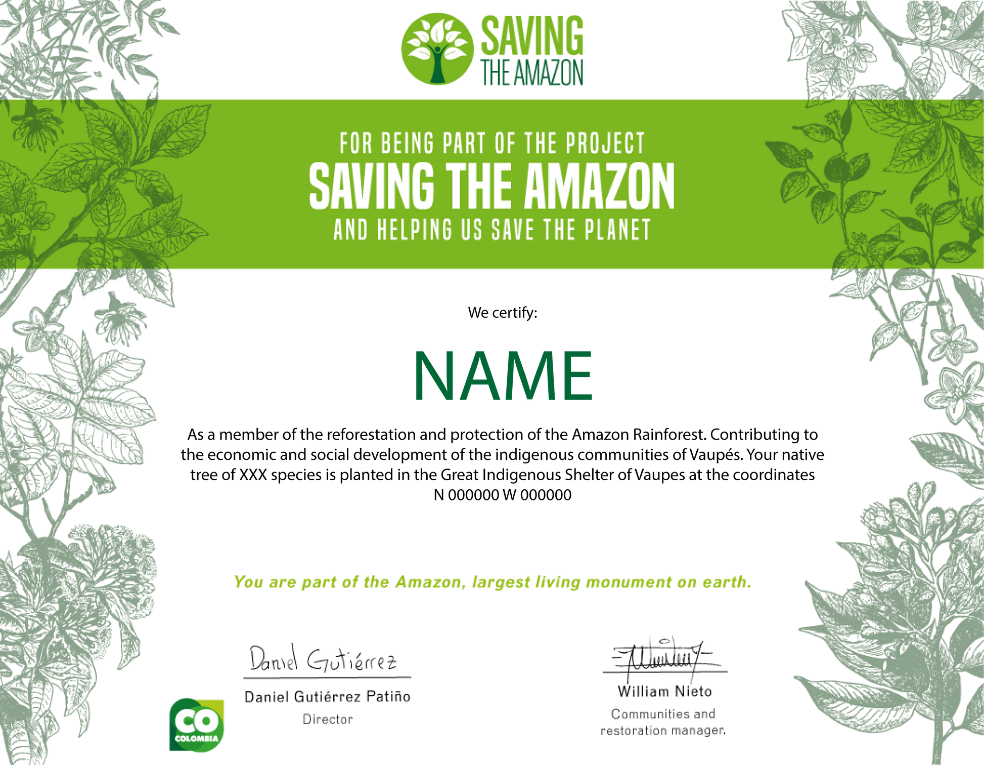 Amazon Tree - Saving The Amazon